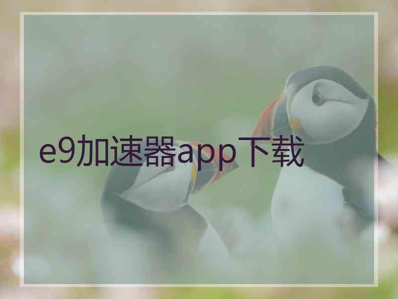 e9加速器app下载