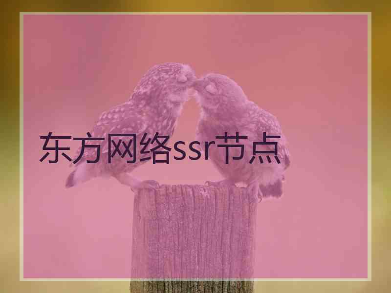 东方网络ssr节点