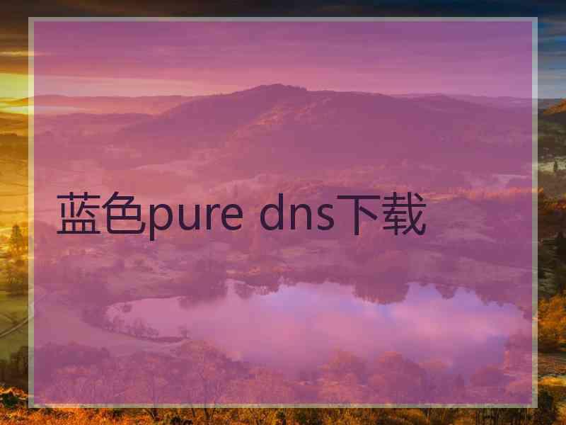 蓝色pure dns下载