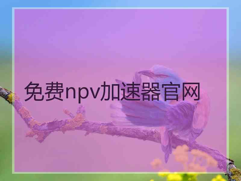 免费npv加速器官网