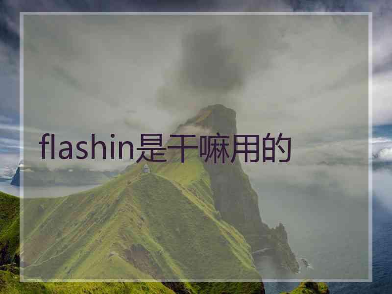 flashin是干嘛用的