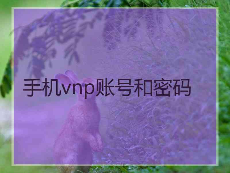 手机vnp账号和密码