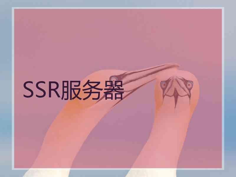 SSR服务器